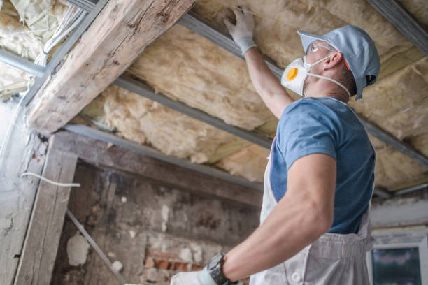 Best Insulation Maintenance and Repair in Placerville, CA